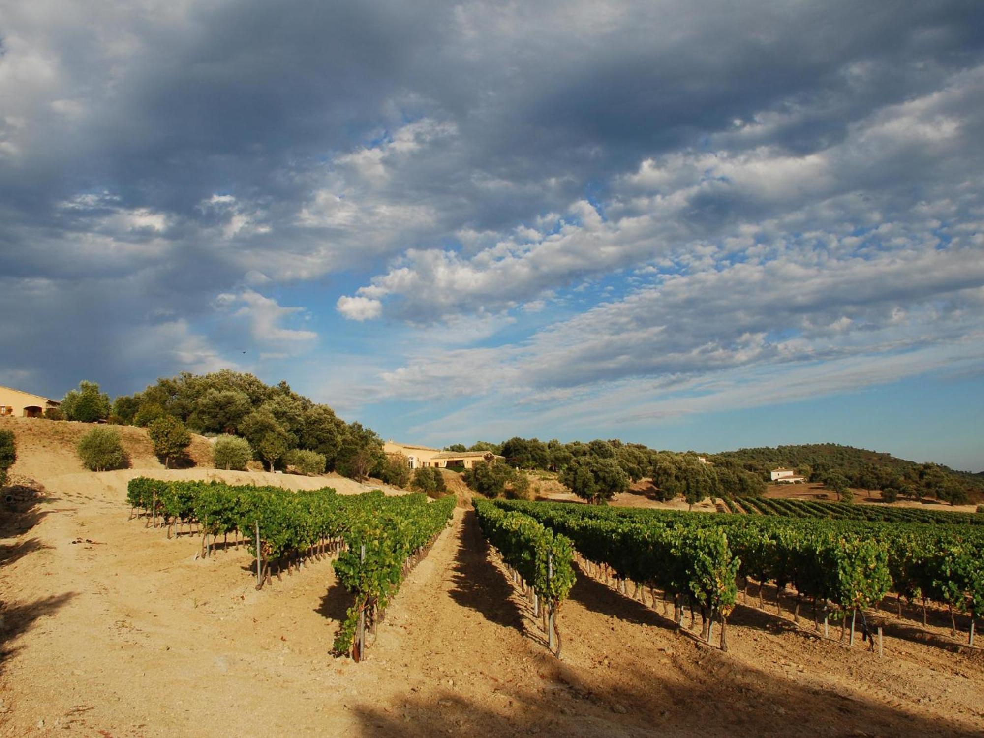 Вилла Mas Des Vignes Le Plan-de-la-Tour Экстерьер фото